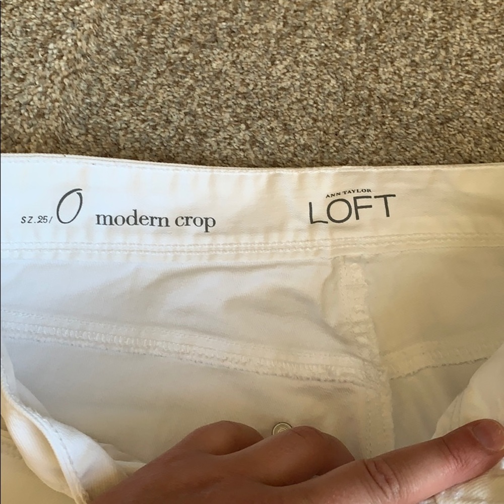 Loft crops - Picture 2 of 3